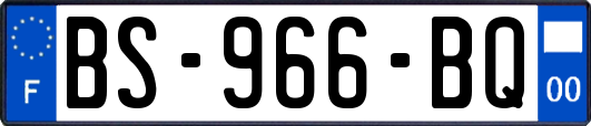 BS-966-BQ