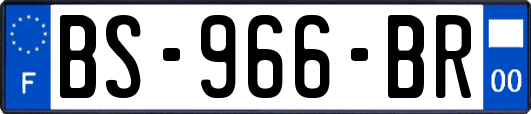 BS-966-BR