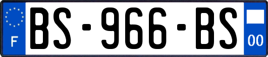 BS-966-BS