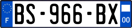 BS-966-BX