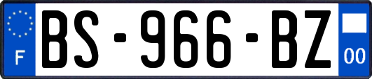 BS-966-BZ