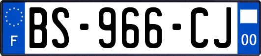 BS-966-CJ