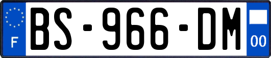 BS-966-DM