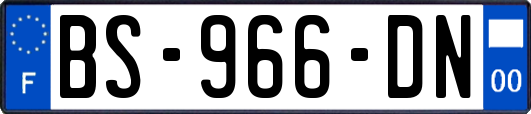 BS-966-DN