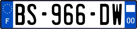 BS-966-DW