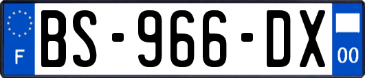 BS-966-DX