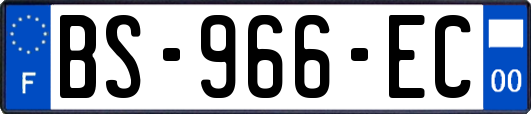 BS-966-EC