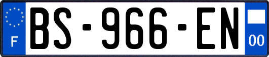 BS-966-EN