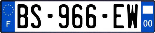 BS-966-EW