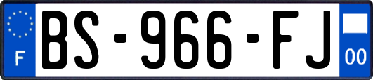 BS-966-FJ