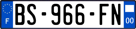 BS-966-FN