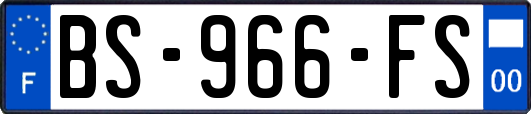BS-966-FS
