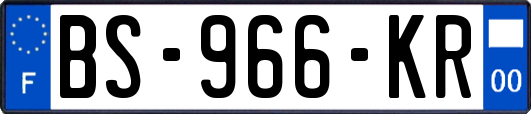 BS-966-KR