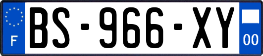 BS-966-XY