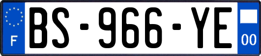 BS-966-YE