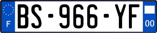 BS-966-YF