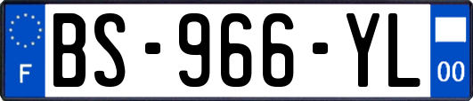 BS-966-YL
