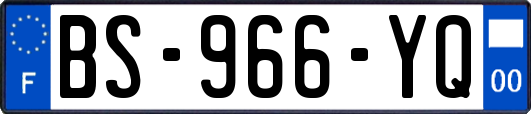 BS-966-YQ