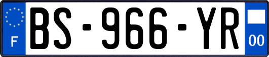 BS-966-YR