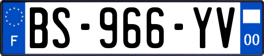 BS-966-YV