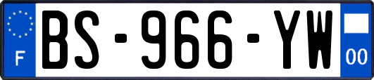 BS-966-YW