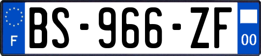 BS-966-ZF