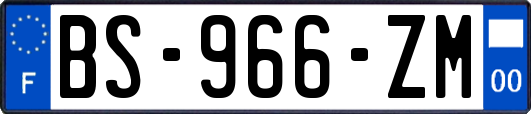 BS-966-ZM