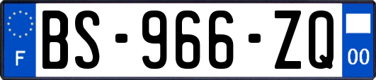 BS-966-ZQ