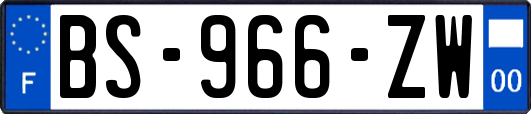 BS-966-ZW