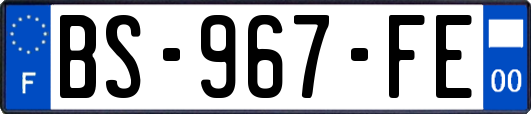 BS-967-FE