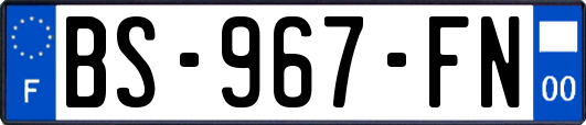 BS-967-FN