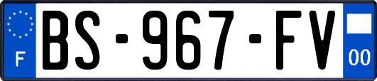 BS-967-FV