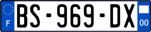 BS-969-DX