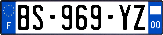 BS-969-YZ
