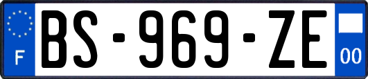 BS-969-ZE