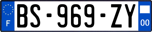 BS-969-ZY