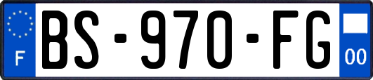 BS-970-FG