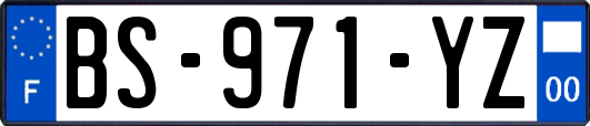 BS-971-YZ