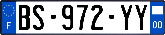 BS-972-YY