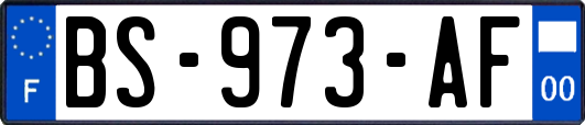 BS-973-AF