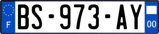 BS-973-AY