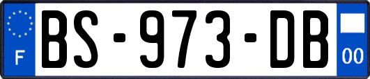 BS-973-DB