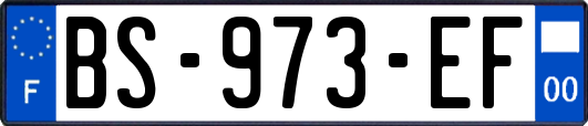 BS-973-EF