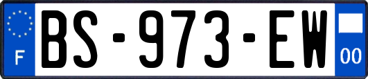 BS-973-EW