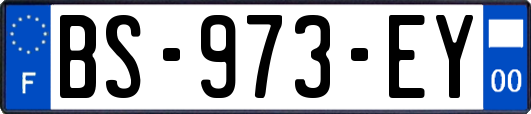 BS-973-EY