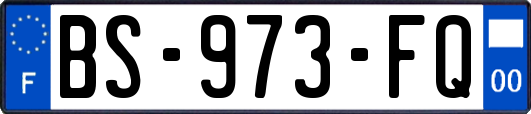 BS-973-FQ