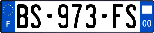 BS-973-FS