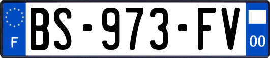 BS-973-FV
