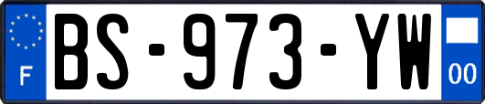 BS-973-YW