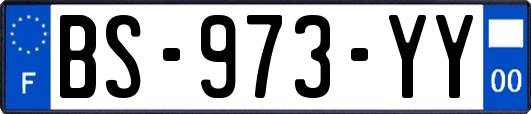 BS-973-YY